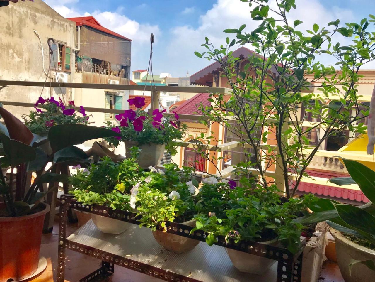 The Rose Home Hanoi Eksteriør billede