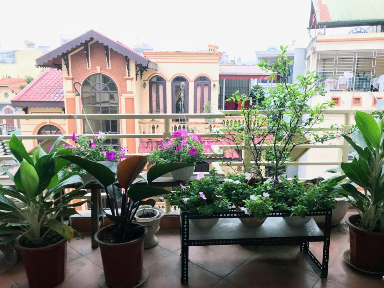 The Rose Home Hanoi Eksteriør billede